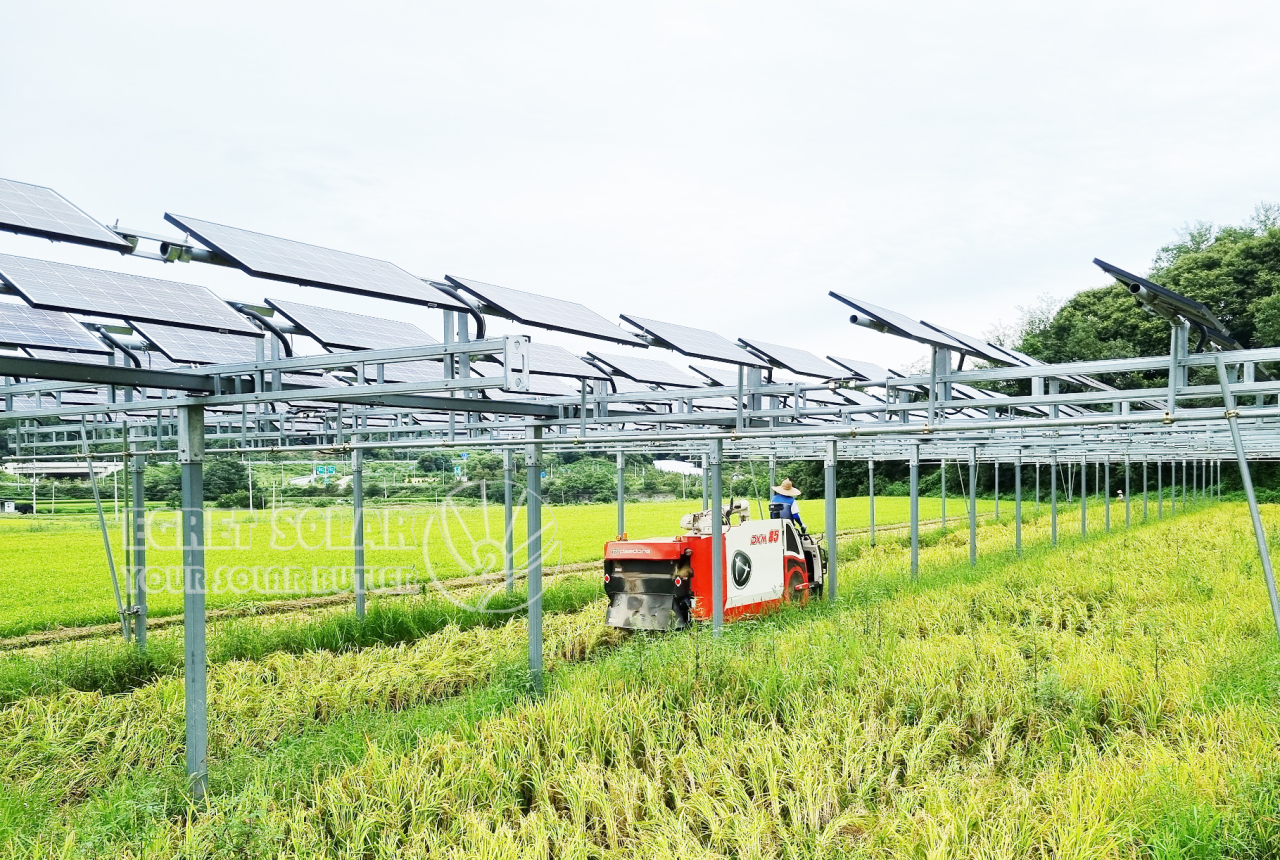 El montaje agrícola solar de aluminio impulsa el desarrollo agrícola sostenible