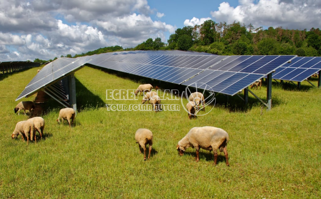 La cooperación estratégica entre Egret Solar New Energy Technology y Smart Concept Energy