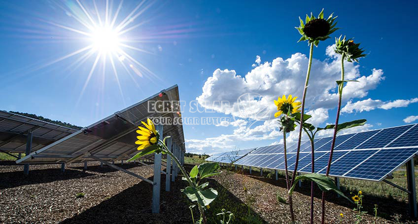 Clasificación Integral de Células Solares Fotovoltaicas